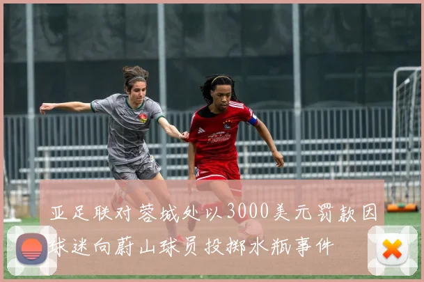 亚足联对蓉城处以3000美元罚款因球迷向蔚山球员投掷水瓶事件