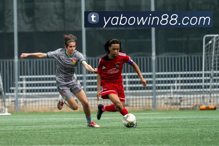 亚博体育平台生态图