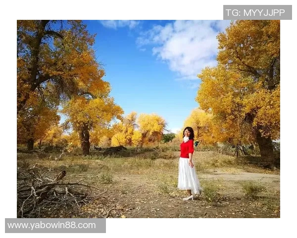 追梦西部挑战虽艰难但我们与湖船携手共创辉煌争夺冠军